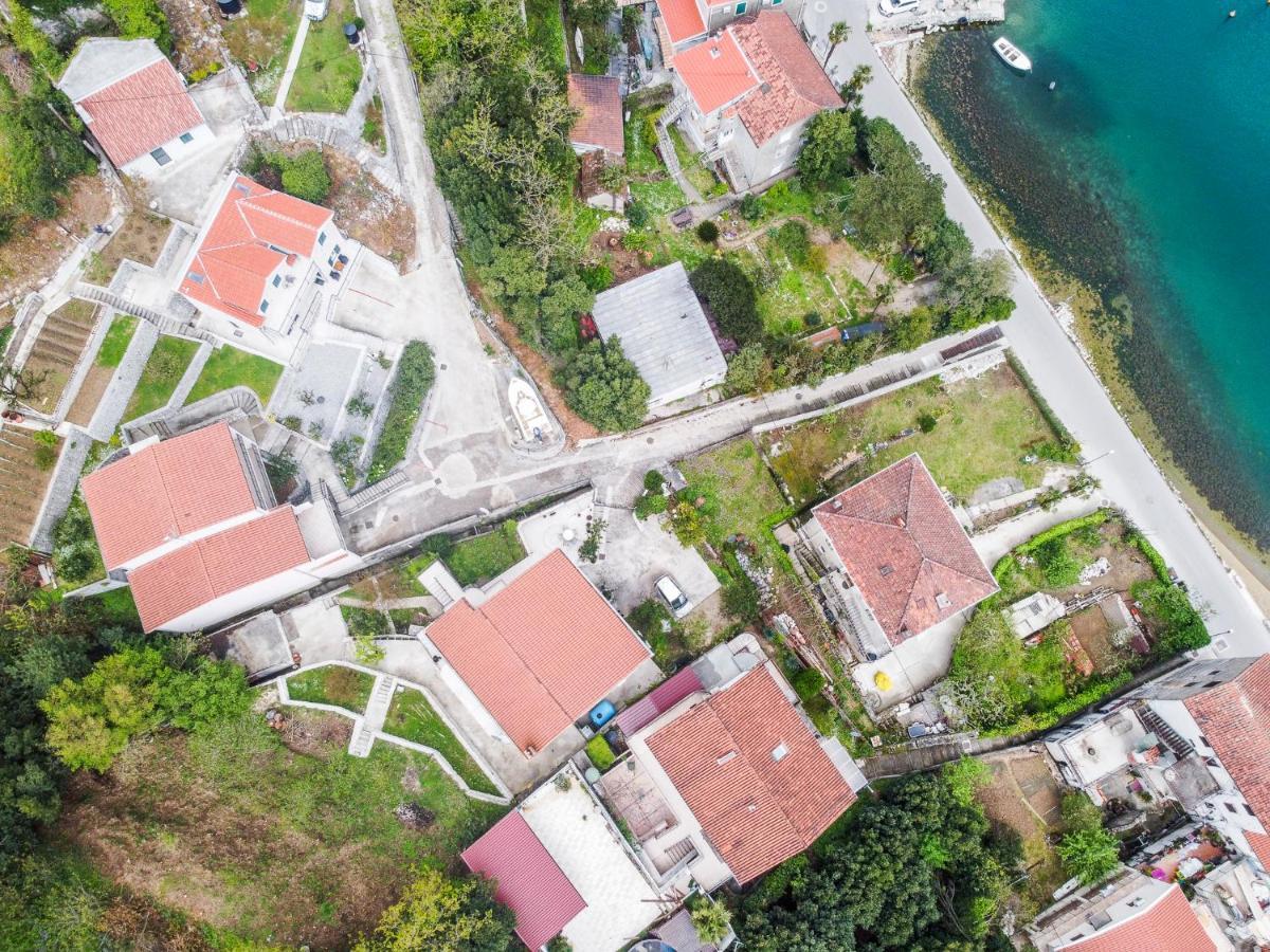Green Home Apartments Kotor Eksteriør billede